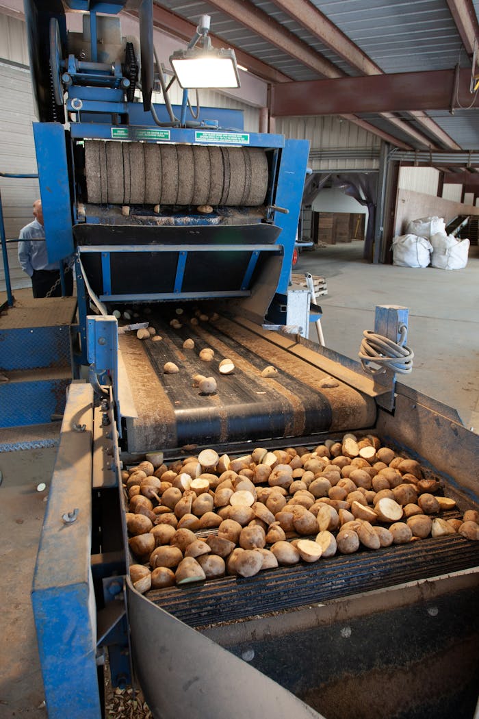 Close-up of an industrial machine processing potatoes in a factory setting.